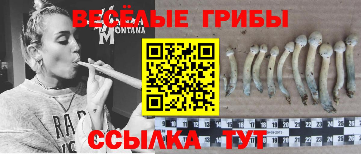 Альфа ПВП Можга