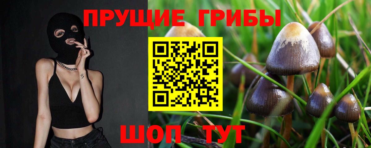 Псилоцибиновые грибы ЛСД Можга