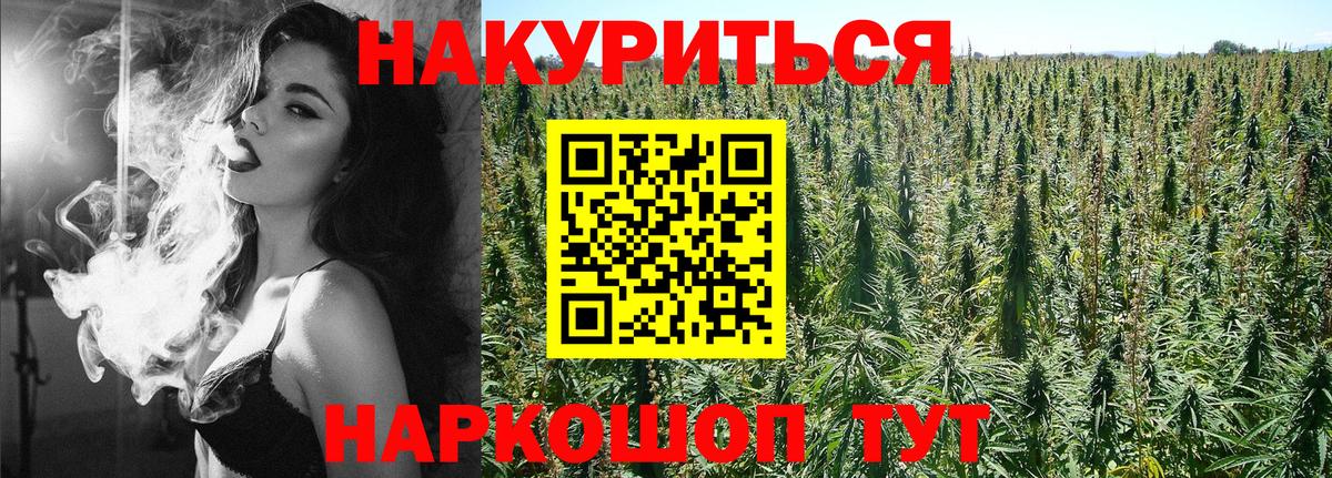Бошки марихуана сатива  Каннабис конопля  Шишки марихуана MAZAR  Вход с VPN  Можга 